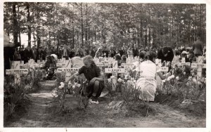 Bloemen leggen Oosterbeek