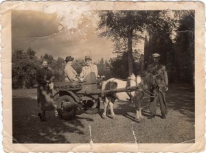 Mijn ouders met gasten in de ponywagen.